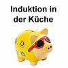 Induktion in der Küche: Induktionsherde